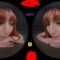 VRSpy – Pass-Through: Christina Sage On Demand (2025.06.02) (GearVR)