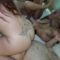 [TadpoleXStudio] Madison Wilde, Uptown Bunny, and Anna Cummings – No AC orgy with 6 Guys – 2025-08-05 – 1080p