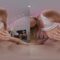 RealJamVR – Oiled Massage from Blake Blossom (2025.09.19) (GearVR)