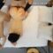 [AsiaXXXTour] Threesome Sextape With Minami and Airi 2025 [1080p]