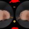 SLROriginals – Give Me a Lesson Stepdaddy – Satine Summers (2025.11.15) (GearVR)
