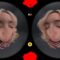 SLROriginals – Lexi Lore in Your Room (2025.12.27) (GearVR)