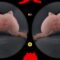SLROriginals – Kitty In Your Room – Kitty Cam (2026.01.24) (GearVR)