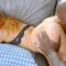 [ElegantAngel] Raunchy Redhead Anal – Elise London – 2026-01-14 – 1080p