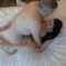 [TadpolexStudio] Daydream Daisy – Daydream Daisy Gets Two Creampies (2026-02-24) [1080p]