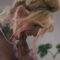 [Transfixed] A Surprising Silver Lining – Destiny Mira Gray Perrier – 2026-04-01 – 1080p