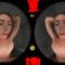SLROriginals – Veni Vidi Vixi – Vixi Rafi (2026.04.25) (Oculus 4K)