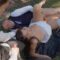 [Bride4k] Love object – Anna Bella – 2026-07-15 – 1080p