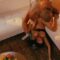 [DigitalPlayground] The Last Bang – Selina Garcia – 2026