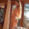[OnlyFans] Lena Polanski – Anal Hookup
